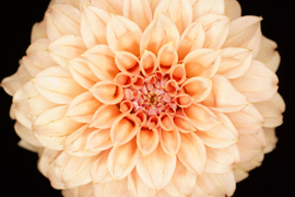 Both sides lit for even lighting