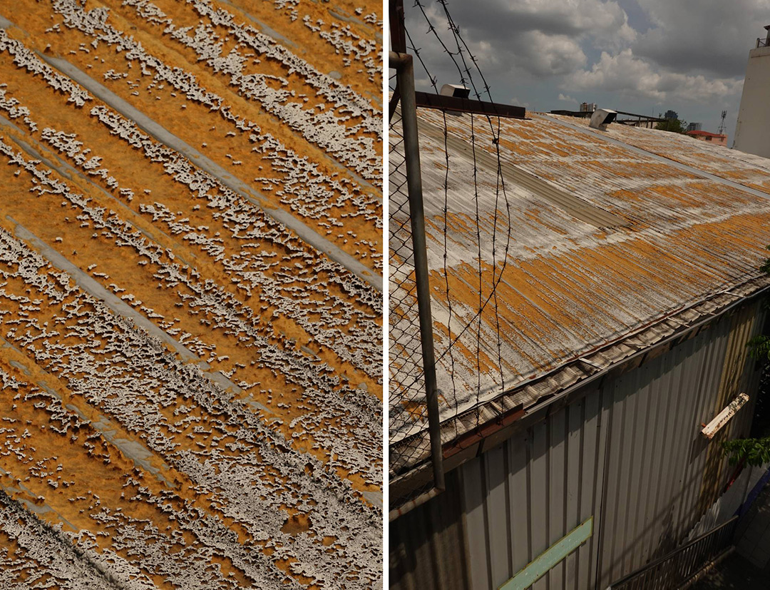 The RX100 VII's broad zoom lets Phichai zoom in on the minute details. 