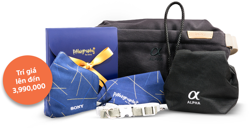 Túi đeo Bellroy, Túi đựng ống kính, Dây đeo cổ tay, Bộ đồ lưu niệm cao cấp Pawgraphy (thiết kế Bandana và khẩu trang kháng khuẩn, dây xích cho thú cưng)
