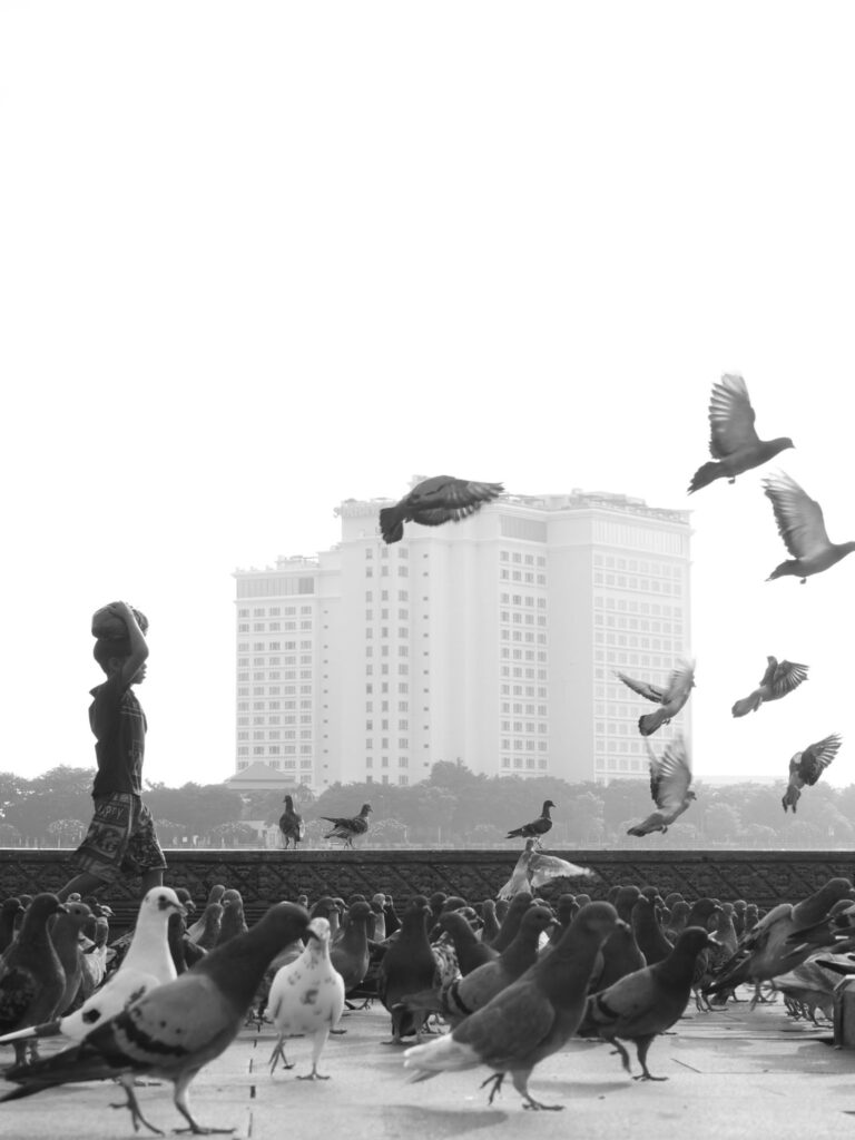 Cambodia – Filmreel