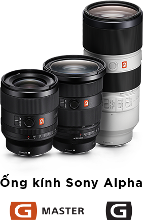 Lenses Group